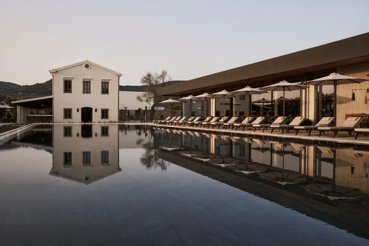 The Olivar Suites Mesongí Exterior foto